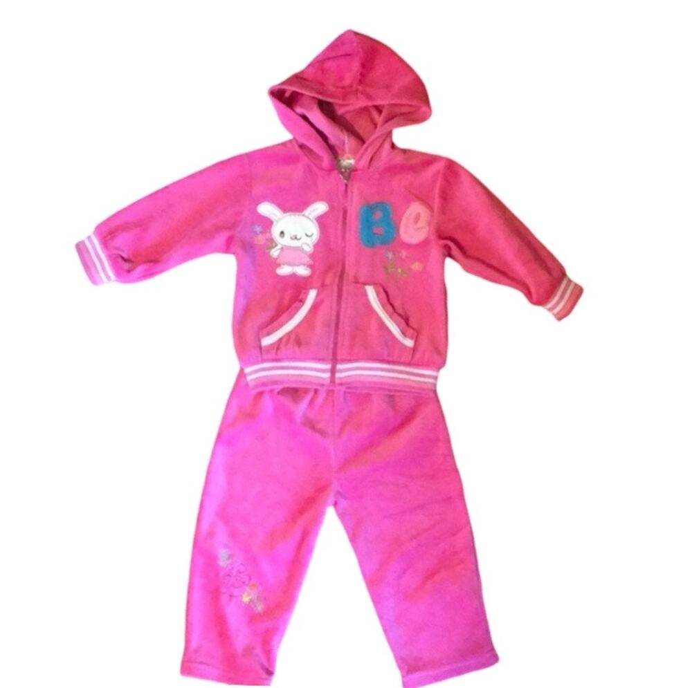 Two (2) piece toddler girl sweatsuit approx sz 18m